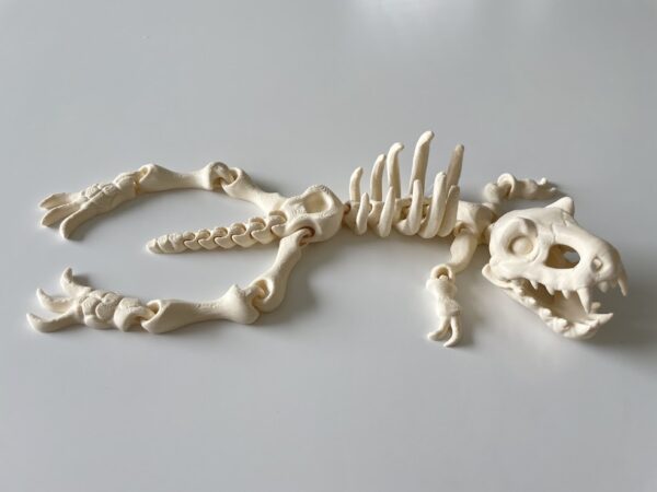 eko-model-T-rex