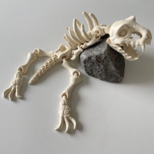 eko-model-T-rex