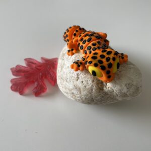 eko-model-gekon-oranzovy