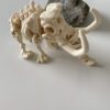 eko-model-mamut