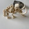 eko-model-mamut