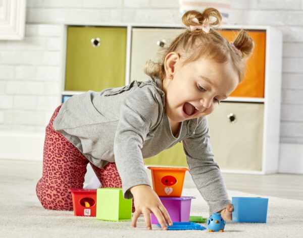 Learning-Resources-trideni-a-pocitani-ptacci