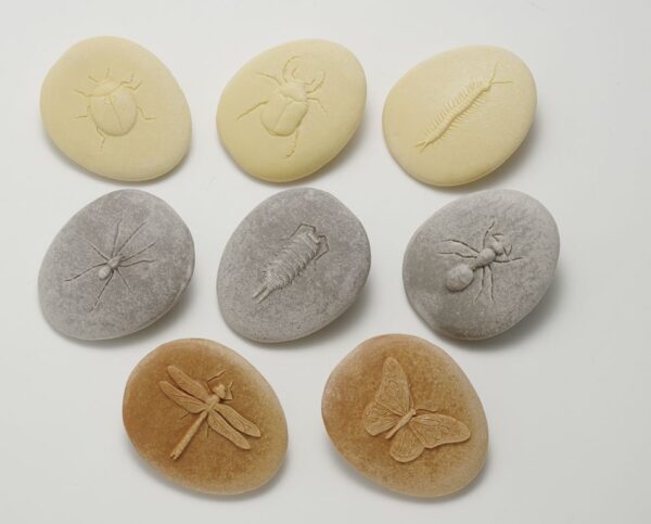 yellow-door-pojdme-objevovat-hmyz