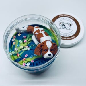 domaci-modelina-king-charles-spanel