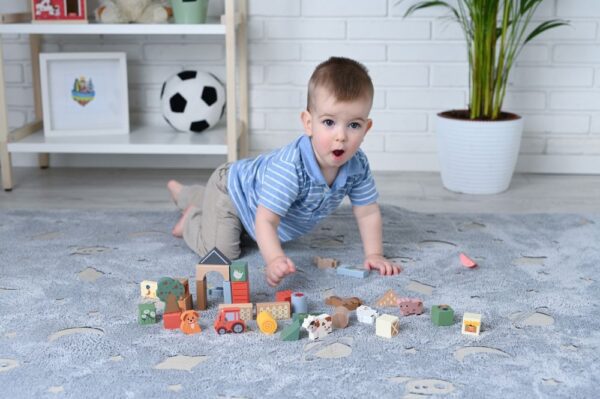 Adam-toys-drevene-kostky-farma