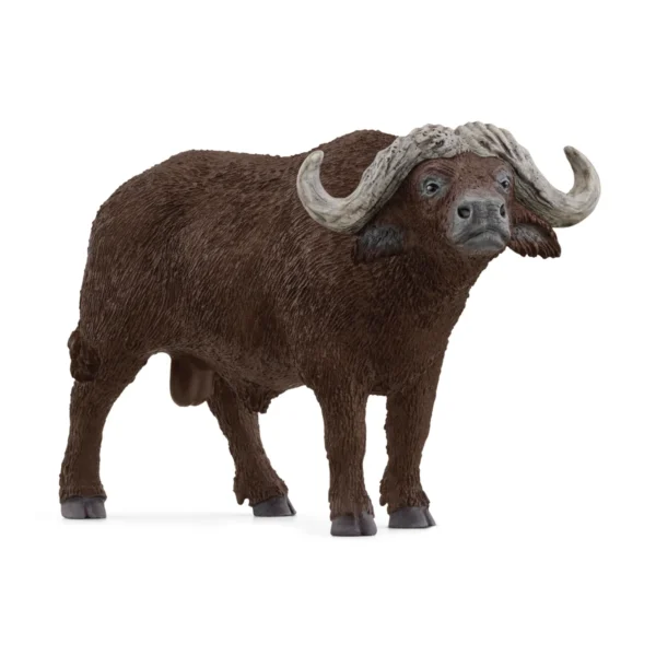 schleich-buvol africký