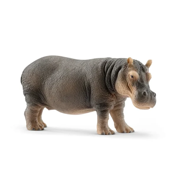 schleich-hroch
