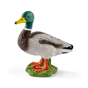 schleich-kačer