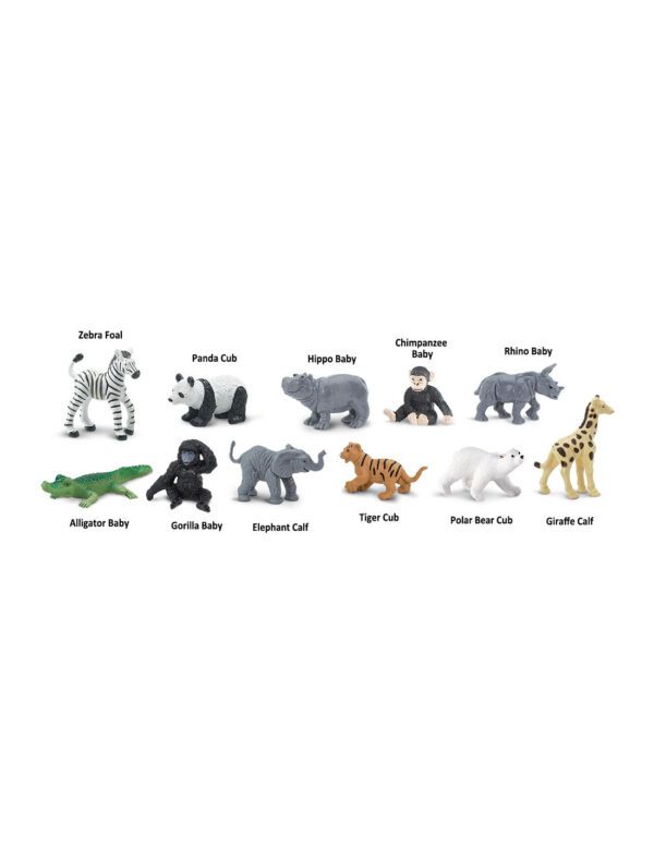 tuba-mladata-ze-zoo
