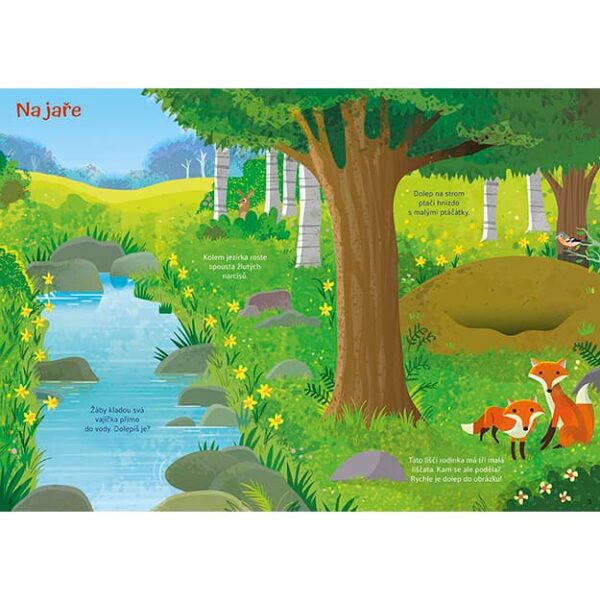 0005334 moje prvni samolepkovani v lese