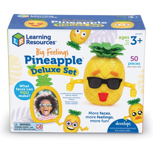 6375 Deluxe Pineapple BOX cnt sh 1