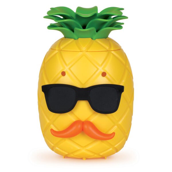 6375 PineappleDeluxe 1 sh web