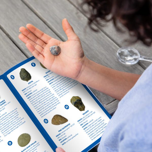 5340 GS fossil excavation lifestyle 2020 131 2