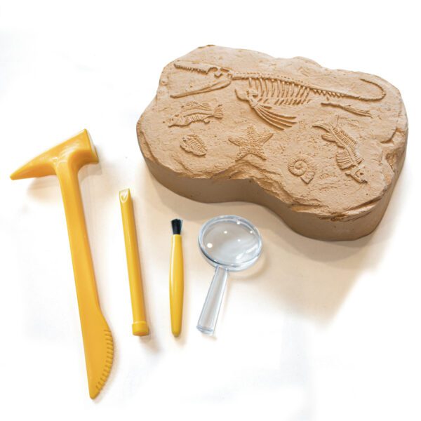 e5340 Fossil Excavation Kit product web