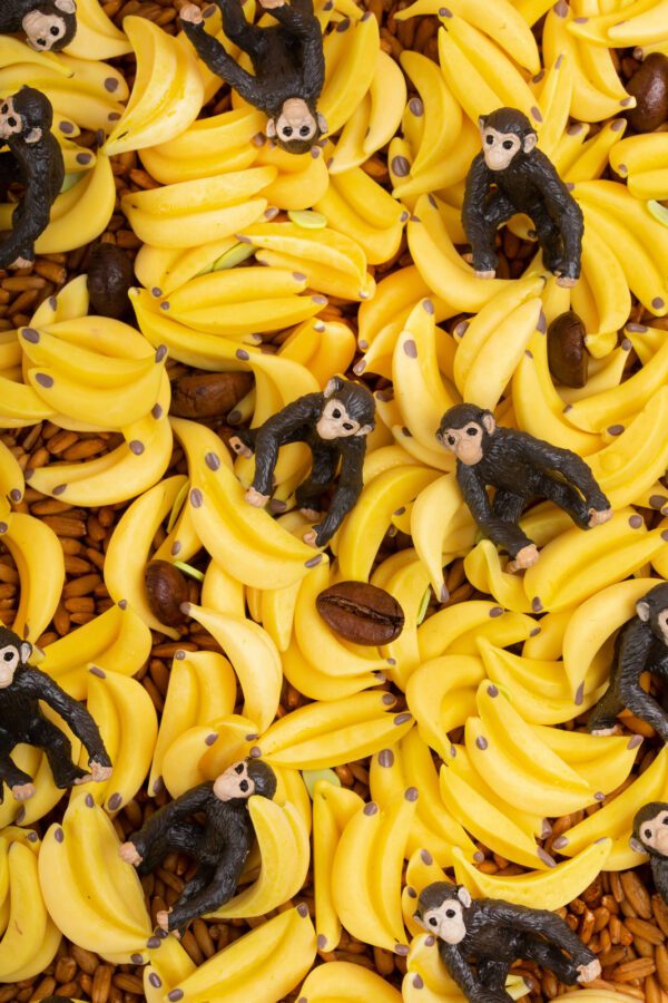 eng pl Petit Boum Set of 3 Sensory Bottles TROPICS 111 3