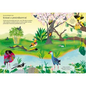 moje-prvni-samolepkovani-ptaci