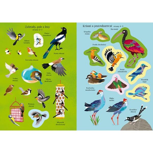 0008912 moje prvni samolepkovani ptaci