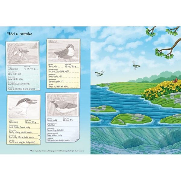 0009038 svet zvirat v samolepkach nasi ptaci