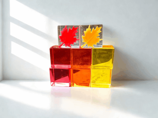 81fed16b e73e 46c4 821d a844db41568d.png