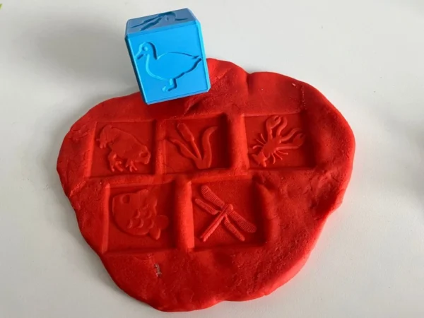 otiskovaci-kostka-rybnik