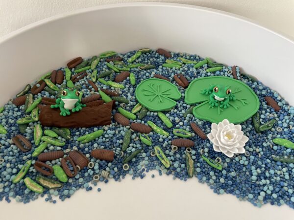 smyslova-tuba-zivotni-cyklus-zaby