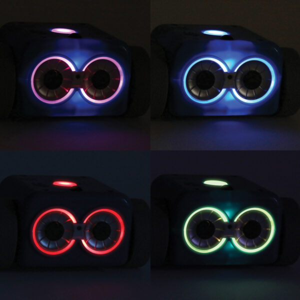 2941 Botley2 Colors web