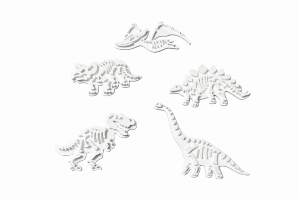 TVO027 razitka 2v1 fosilie