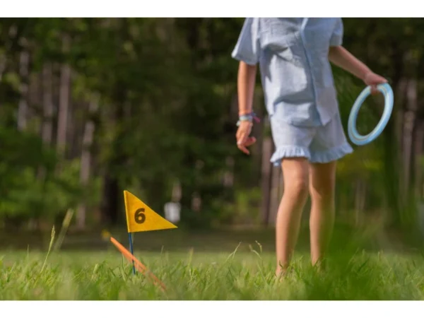 BS_GA545-discgolf-s-vlajkami