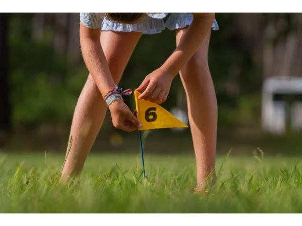 BS GA545 discgolf s vlajkami 6