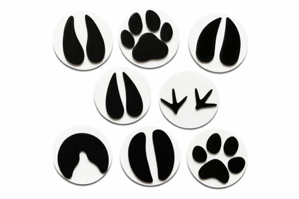 stopy domaci zvirata bez pozadi