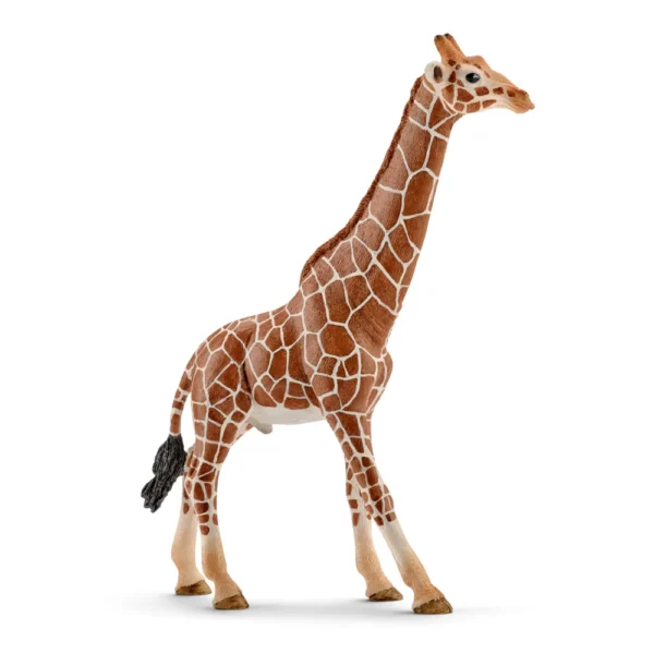 schleich-samec-zirafy