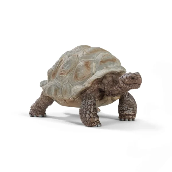 schleich-zelva