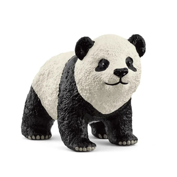 14886 mlade pandy velke