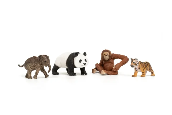 42736 wild life asie