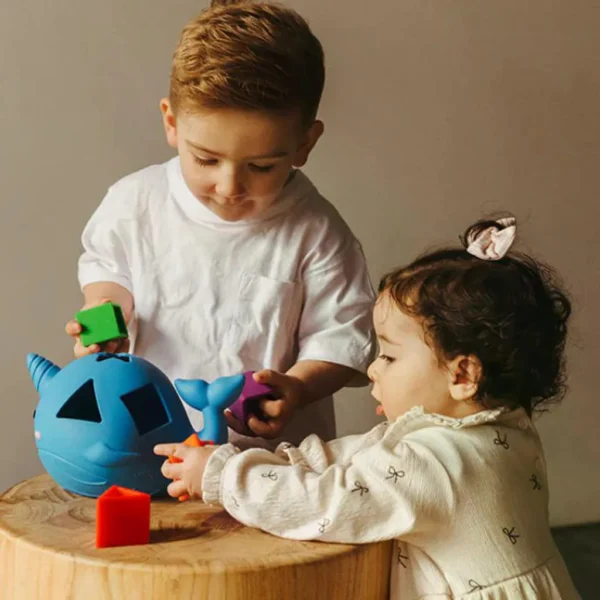 narval-trideni-tvaru