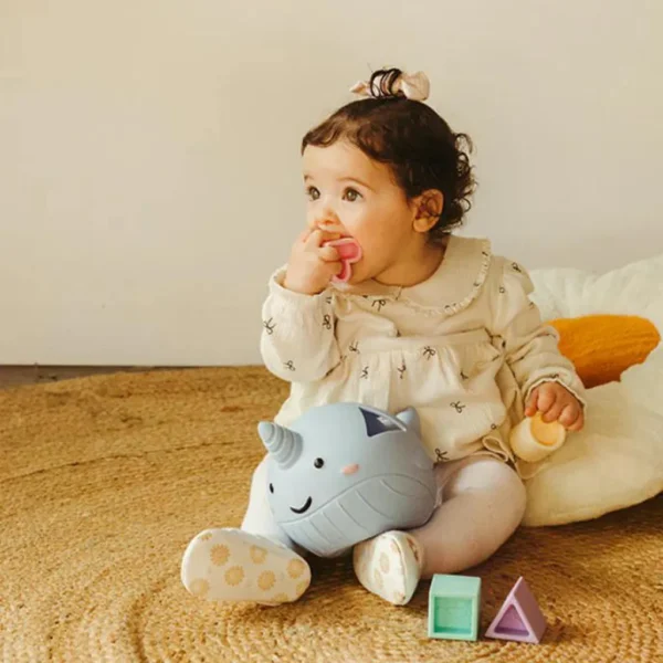 narval-trideni-tvaru