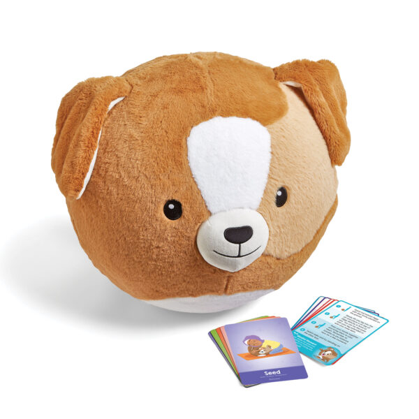 96997 Yoga Ball BubblePlush Puppy Cards Web