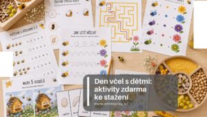 den-vcel